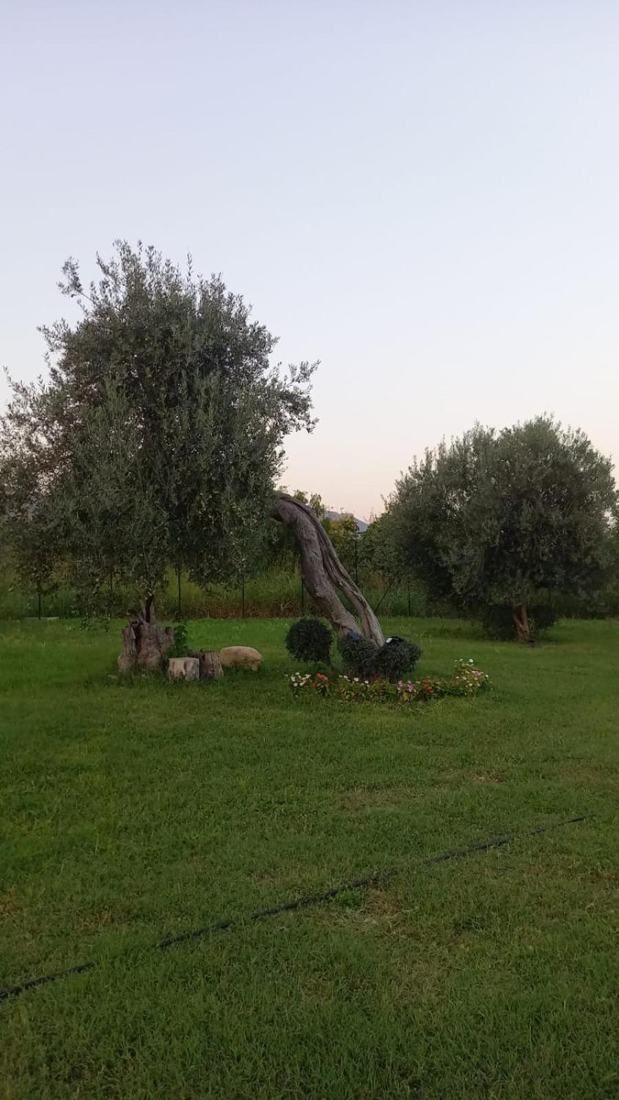 I Secolari Di Giulia Holiday home *